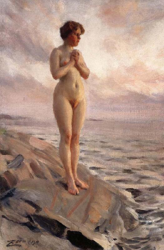 Anders Zorn Female Nude oil painting image
